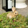 Accent Plus Baby Bunny Figurine