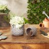 Accent Plus Cement Flower Pot Set - Taupe Scallop Design