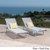 Holm Outdoor Gray Mesh Chaise Lounge with Aluminum Frame (set of 2)