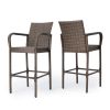 Stewart 30-Inch Outdoor Mix mocha Wicker Barstool (Set of 2)