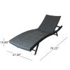 Eliana Outdoor Gray Wicker Adjustable Lounge Chair Set of 2