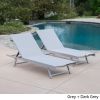 Holm Outdoor Gray Mesh Chaise Lounge with Aluminum Frame (set of 2)