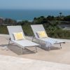 Holm Outdoor Gray Mesh Chaise Lounge with Aluminum Frame (set of 2)