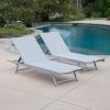 Holm Outdoor Gray Mesh Chaise Lounge with Aluminum Frame (set of 2)