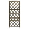 vidaXL Trellis with Shelves Gray 21.6"x11.8"x55.1" Solid Fir Wood