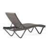 Zanna Outdoor Gray Wicker Adjustable Chaise Lounge set of 1