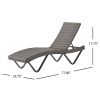 Zanna Outdoor Gray Wicker Adjustable Chaise Lounge set of 1