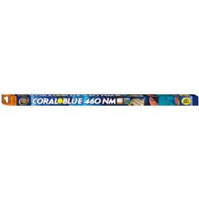 Zoo Med Coral Blue 460 NM T8 Lamp Blue 24 in